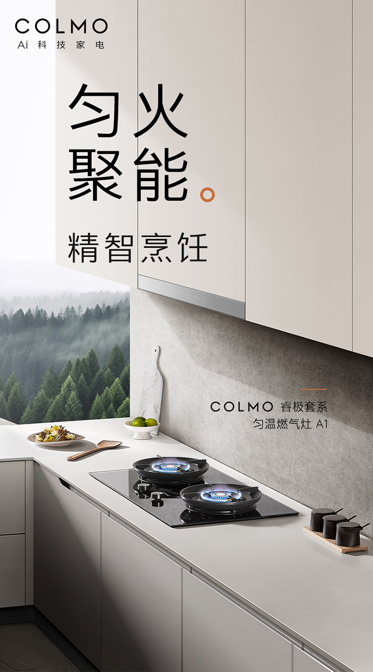 COLMO 嵌入式燃?xì)庠?月巖灰-雙邊定時(shí) JZT-CYT52-A1